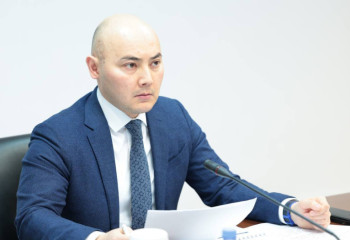 Тарифы должны быть справедливыми и комфортными - глава МНЭ