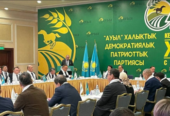 Ауыл мәселесін биік мінберлерде ашық айтатын уақыт жетті