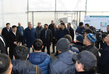 Правительство поможет развитию тепличных хозяйств в Туркестанской области