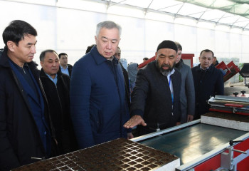 Үкіметтік делегация Түркістан облысының жылыжай иелерімен кездесті