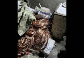 Преступную группу промышлявшую кражами цветмета задержали в Астане