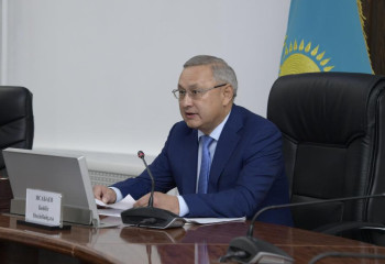 Карту системных проблем разработают в области Жетысу