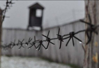 Освободить сына из тюрьмы за 3 млн тенге предлагал мошенник в Шу