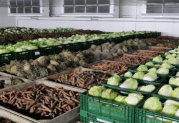 Запасы продовольствия в Казахстане превышают 1 млрд тонн