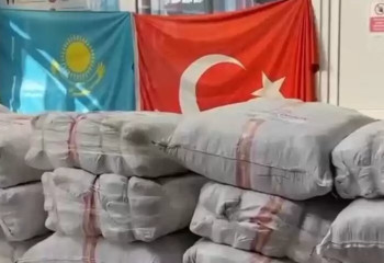 Станбұлдағы қазақтар жер сілкінісінен зардап шеккендерге көмектесіп жатыр