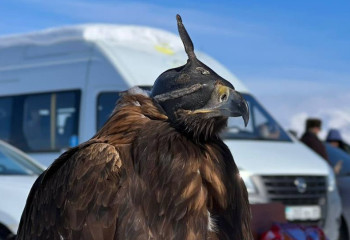 «Құсбегіліктен» жастар арасында ел чемпионаты басталды