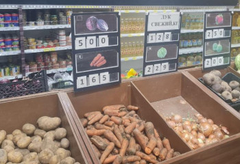 Лук из стабфондов начали реализовывать в регионах Казахстана