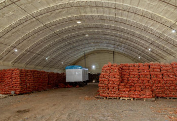 Тұрақтандыру қорлары сауда орындарына пияз сатуды бастады  – министрлік