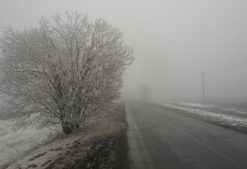 Бірнеше облысты қалың тұман басады