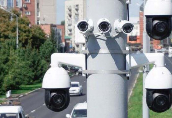 Шымкент полициясына бір аптада 7 мыңға жуық адам жүгінді