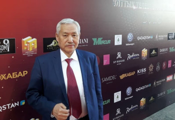 «Масс-медиа туралы» заңда ерекшелік көп – публицист