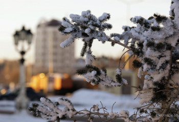 Еліміздің басым бөлігінде қар жауады