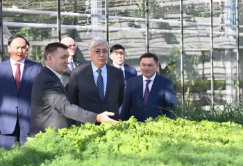 Президент ознакомился с работой теплиц в Степногорске