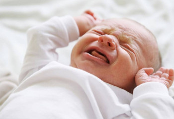 В Казахстане закончился беби-бум