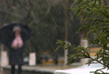 Қазақстанның оңтүстігі мен оңтүстік-шығысында жауын-шашын болады