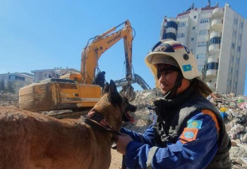 Түркияға көмекке аттанған құтқарушы иттер жайлы не білеміз