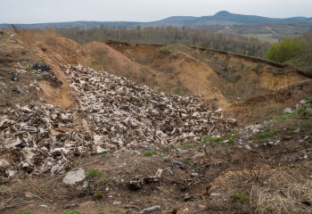 В обычные ямы вынуждены закапывать трупы инфицированных животных в Костанайской области