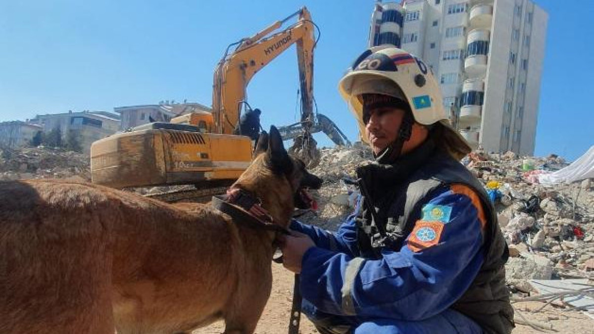 Dog rescuers in Turkey