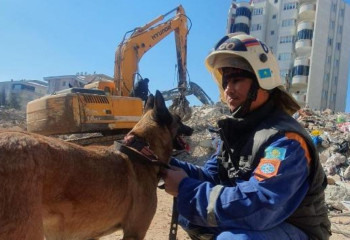Dog rescuers in Turkey
