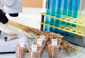 Senate Speaker concern about phytosanitary safety in Kazakhstan