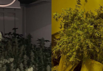 Нарколабораторию на крыше многоэтажки соорудил житель ЗКО