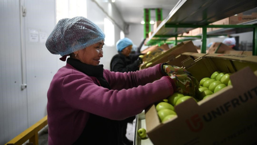  Ауыл шаруашылығы министрлігінің баспасөз қызметі 