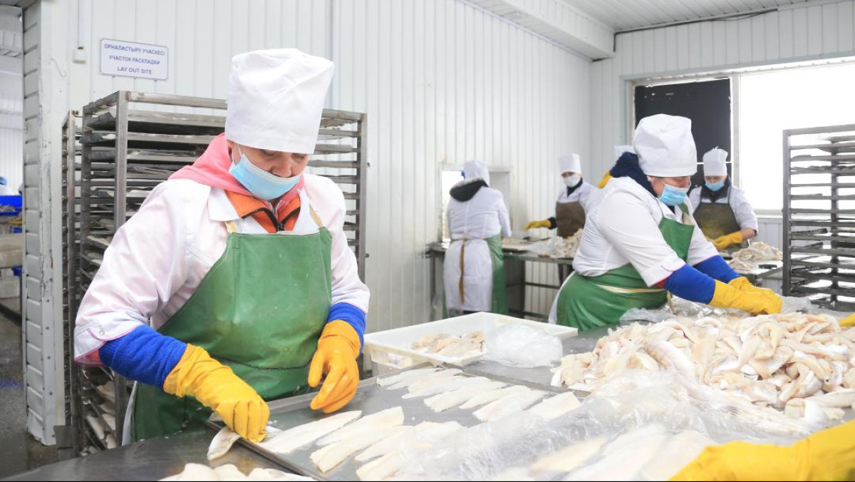  акимат области Жетысу 