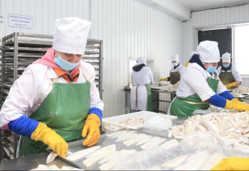 Детское питание начал производить рыбзавод в области Жетысу