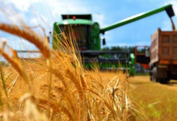 Субсидии на сумму более 50 млн тенге одобрили фермерам Акмолинской области