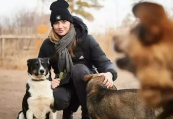 Елена Рыбакина қаңғыбас иттерге арналған орталыққа ақша аударды