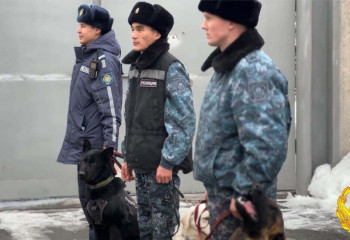 32 преступления помогли раскрыть служебные собаки в области Жетісу