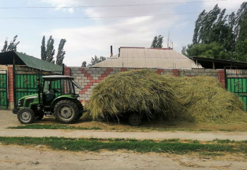 Доход семьи увеличится в два раза: пилотный проект запущен в актюбинских селах