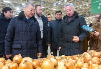 East Kazakhstan ready to cover country’s needs in sunflower oil