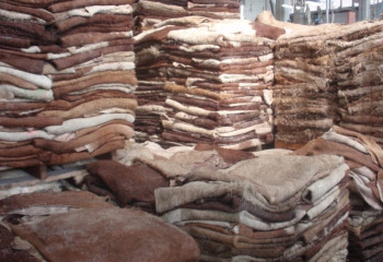 В Казахстане оказались невостребованными шкуры крупного и мелкого рогатого скота