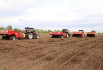 В Карагандинской области засеют зерновыми более 1 млн гектаров