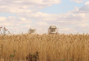 Қарағанды облысында егін алқабы 1,1 млн га құрайды