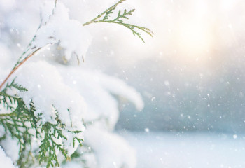 Қазақстанда алдағы күндері жаңбыр мен қар күтілуде