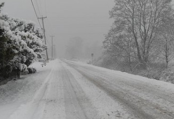 Тело мужчины нашли под снегом в СКО