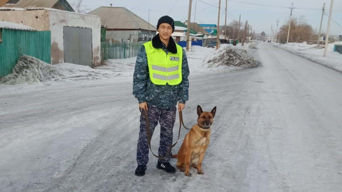 Служебная собака помогла раскрыть кражу денег в Акмолинской области