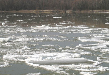 29 паводкоопасных населенных пунктов выявлено в области Улытау