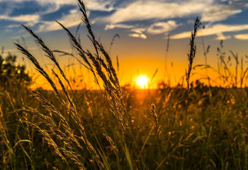 Егіс жұмыстарына 140 млрд теңге қарастырылған - Үкімет