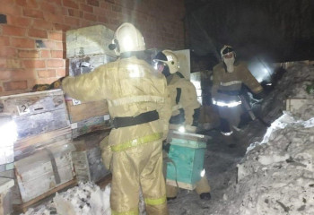 Өскемендік өрт сөндірушілер отыз бес ара ұясын өрттен құтқарды