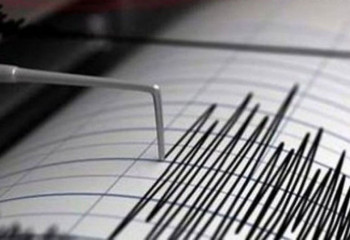 Тәжікстандағы жер сілкінісі Алматы мен Шымкентте сезілді