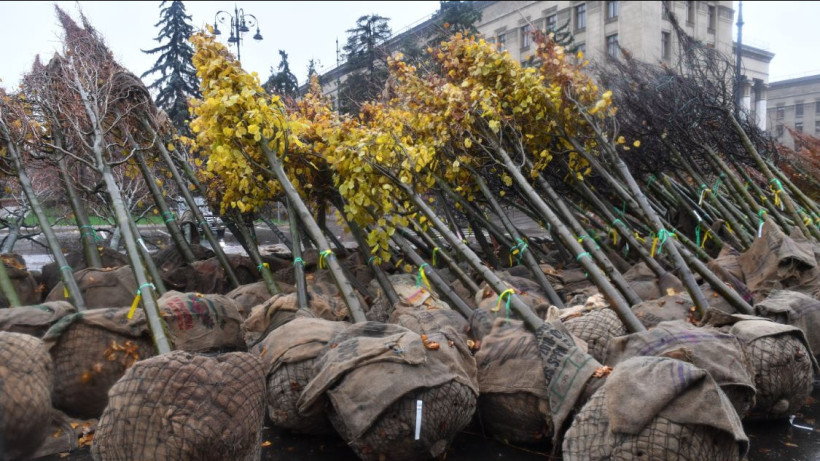  Акимат Алматы 