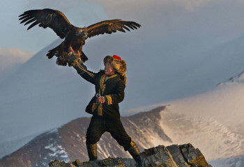 Құсбегіліктен ересектер арасында Қазақстан чемпионаты өтеді