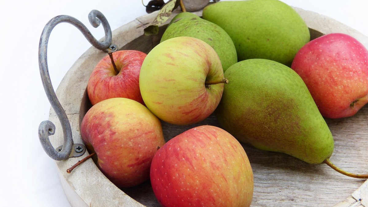 Свыше четырех тысяч тонн яблок и груш экспортировал Казахстан в прошлом году