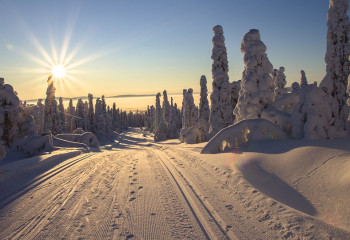 Республикалық трассалардың 11 учаскесінде қозғалыс қалпына келтірілді