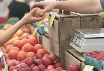 Әлеуметтік маңызы бар тауарлардың бағасы өсті