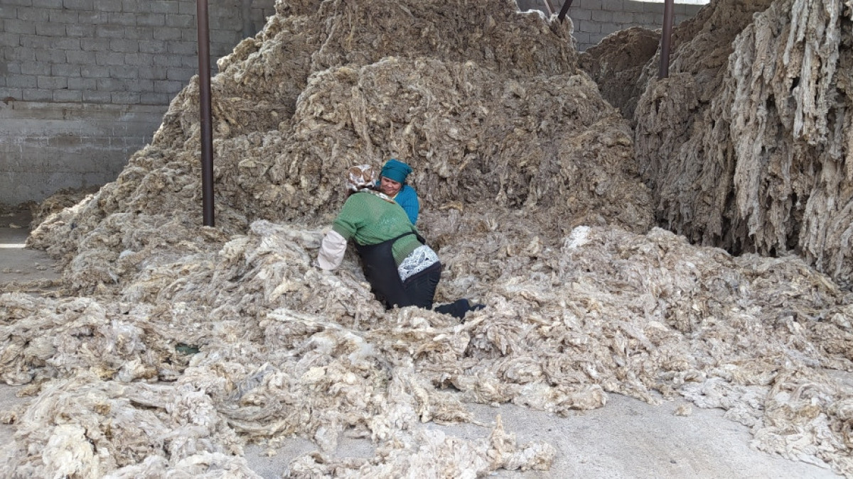В Казахстане продлили нулевую ставку пошлины на вывоз шерсти