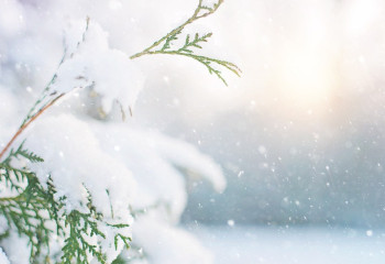 Демалыс күндері ауа райы қандай болады